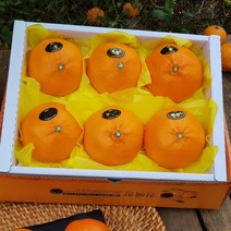 제주산지직송 천혜향 2kg(6-9수 대과)그윽한 향과 팡팡 터지는 과즙 품격있는 설과일선물세트, 1박스