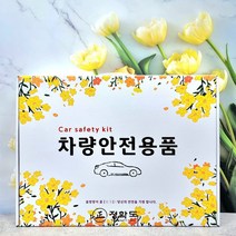 자동차 BB1946 선물 가정용소화기 소방자재 차량용소화기 소화기 도매 업소용, 차량용안전용품세트-2번-13종세트