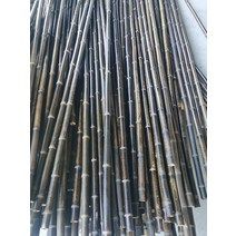 (단품) 정원데코 오죽 대나무 울타리 부식방지 대나무장대 인테리어 장식 소재 정원 단품 배송, B 굵기 2cm  길이 2m (단품)