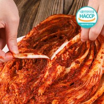 잘먹잘산 HACCP 까칠한박여사 갓 담근 맛있게 매운 김치 실비 김치, 3kg, 1개