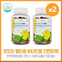 젤리형 데이플랜 캐나다 키즈멀티비타민90꾸미X2개 아이를 위한 간편하게 맛있는 멀티비타민 비타민A D E B6 B12 나이아신 엽산 비오틴 함유, 본문참고, 젤리형 데이플랜 캐나다 키즈멀티비타민90꾸미X2개 아이, 본문참고