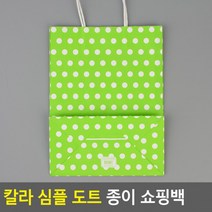 칼라 심플 도트 종이 쇼핑백(대) 포장봉투 종이백
