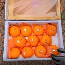 프리자연 제주 레드향 프리미엄 명품 고당도 선물세트 2kg 3kg 5kg, 레드향 명품 선물세트 중대과 2KG(5-10과)