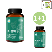 뉴트리코어 보스웰리아1000mg 프롬바이오 효능, 보스웰리아 1000mg(10개월)