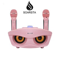 블루투스 마이크 가정용 노래방 무선 스피커, 블랙