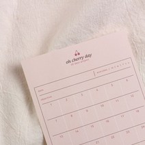 일 목표 하루 기록 귀여운 스케쥴 플래너 다이어리 일기 유치원교사 psd 오브젝트 감사, 신쓰 본상품선택