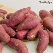 [고파남/당일발송] 베니하루카 꿀고구마, 꿀고구마 10kg (긴중/긴하)