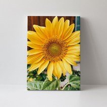 풍수아트 03.[I]SUF-큰 성공 해바라기 | 원목액자 20호 [72.7x53cm]