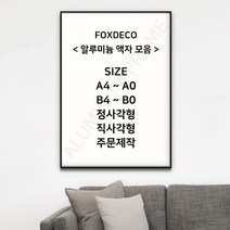 폭스데코 알루미늄 액자 모음, 실버
