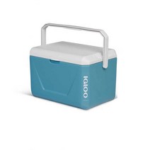 캠핑쿨러백 휴대용 보냉 캠핑용 아이스박스 가방 쿨러, 8L 레드 (6-8시간 냉장)