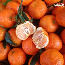 식탐대첩 식탐대첩 불로초 프리미엄 감귤 1.5kg 로얄과 (22-29과), 없음