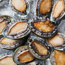 국내산 완도 활 참전복 1kg (35-45미)