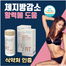 식약처 인증 다이어트 성분 효과빠른 체지방 내장지방 턱살 볼살 팔뚝살 뱃살 감소에 분해 도움 탄수화물 컷팅 체중감소 과체중 비만 성인 단기간 예비신부 콜레우스포스콜리 나이아신, 60정 x 1상자_사은품 패치, 1개, 60정