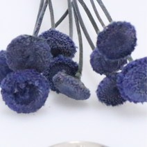 앨리플라워 프리저브드 소량 판매 드라이플라워 디퓨져만들기, 6-41버튼플라워 로열블루