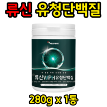 류신 뉴신 로이신 루신 1통 구아검 가수분해물 WPC WPH 유청단백질 유청농축단백 단백질 분말