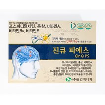 진큐피에스 3개월분 기억력개선 뇌영양제, 120정, 3개