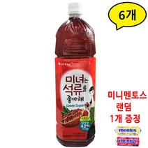 미녀는석류를좋아해 석류음료 페트병 롯데 로어슈거 1.5L 6개