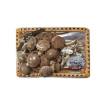 표고버섯 선물세트 3호 표고버섯요리 지역특산물 버섯선물세트 생표고버섯 해일농산 표고채 식품 1140848