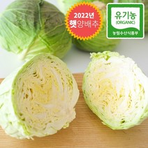 유기농 햇 양배추 4kg 미니 소사이즈 국내산 무농약 친환경 효능 제주 장수