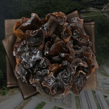 국내산 목이버섯 500G 무농약 산지직송 생목이버섯 건목이버섯 다이어트 반찬 천연 물광 팩, 건목이버섯 100g