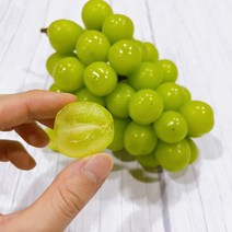 [산지직송] 김천 상주 고당도 망고포도 샤인머스켓 - 가정용, 2kg (3수), 1박스