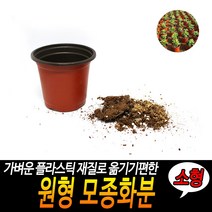 모종화분 원형 모종화분 소형