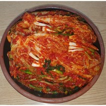 뚱순네 김치 배추김치10kg 모든재료 국내산100%, 10kg