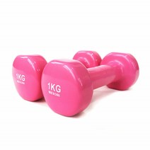 PVC 여성 미용 아령 홈트레이닝 헬스 육각 아령 운동기구 1kg 2개