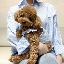 루페루페 강아지옷 견주 스트라이프 프릴 나시 남방 애견 옷 개플룩 커플룩, 아가옷