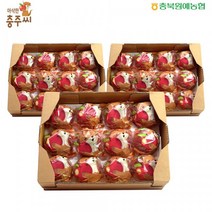 충북원예농협사과 [충북원예농협]아삭한 충주씨 세척사과 3kg*3 박스, 1