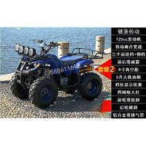 ATV 사륜오토바이 오프로드 농촌 산악바이크, 125cc 리틀 불 패키지1