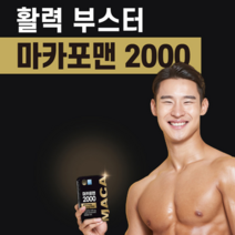 하루한포 마카포맨2000 식약처허용 최대함량 1996mg 아르지닌 야관문 활력증진 기력보충 갱년기 남성 영양제 2달분, 2팩, 4gx30포