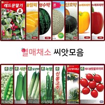 열매 채소 씨앗 모음 토마토 방울토마토 고추 양파 옥수수 오이 호박 씨 채소재배, 5.흑진주미니토마토 50립