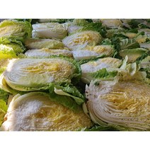오늘애푸드 김장시즌 국내산 강원도 / 해남 절임배추20kg, 11월2일(목)도착
