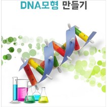 초등 중학생 생명과학실험키트 DNA모형만들기 1인용, 단일