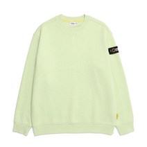 [국내정식매장] 내셔널지오그래픽 N224USW901 스탠다드 벨룩스 세미 오버핏 기모 맨투맨 FOAM GREEN