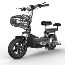 전기자전거 Chongpai 2인용 전동자전거 12Ah 48v 전동스쿠터, 로즈골드 주행거리50km 12A 납산 배터리