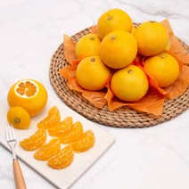 제주직송 황금향 3kg(12-15과) 선물용, 단품