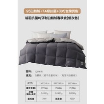 bbmarket 오리털이불 구스다운 거위털 호텔침구 홈 텍스타일 이불 봄과 가을 퀼트 코어 헝가리 수입 95 흰 거위 겨울 퀼트 두꺼운 따뜻한 거위 퀼트, 150cm×210cm, B.봄  가을 헝가리산 화이트 구스다운 95%  항균
