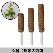 감성살롱 코코넛섬유 수태봉 넝쿨 필로덴드론 몬스테라 관엽 식물 지지대 길이연장, ≫☆1-식물지지대(40cm)1개★≫