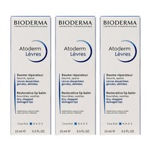 3개 아토덤 레브르 리스토러티브 립밤 립케어 15 ml Bioderma