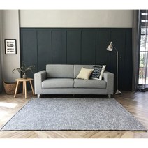 P000000K 슬럽 쟈가드 러그 200x300cm 미라클카페트