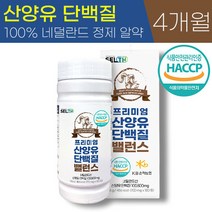식약처 HACCP 인증 SELTH 프리미엄 100% 네덜란드 산양유 단백질 밸런스 BCAA 타블렛 퀄리고트 지방 유청 제거 고순도 단백 근육 프로틴 보충제 정제 알약 노인 추천, 2통 (4개월), 700mg x 180정