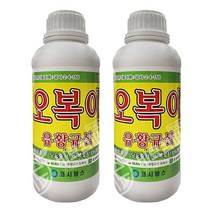 오복이1L 2병 - 배추 농약 뿌리혹병 무름병 병해충예방제 유기농업자재 규산비료 코시액제 모두싹 코두싹칼마 캡마그 땅부자 규산황비료 유황비료