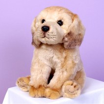 맥스토어 위더펫 강아지 고양이 호랑이 애착 동물 캐릭터 인형, 02.위더펫-골든리트리버(시팅_