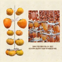 집에서 곶감 만들기 프리미엄 4개 곶감걸이 100개용+꼭지 걸이핀 SET 옵션선택, 꼭지 걸이핀 단품 20개