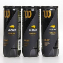 윌슨 공 챔피언쉽 테니스공 연습공 볼 엑스트라 듀티 윌슨프로파일 투어 공인구, 02