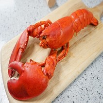 프레시밸류 직수입산 캐나다 자숙 랍스타 2마리 1000g(내외) 홈파티 캠핑 청린우 랩쿡, 자숙 랍스타 2마리 (1000g내외)