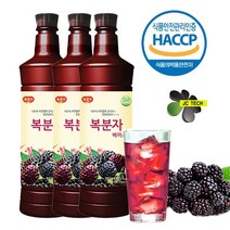 프리미엄 복분자 청정지역에서 자란 복분자!! 당일발송!!, 2병, 970ml