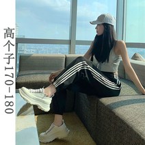 드롭 와이드 슬랙스 170 트레이닝바지 여성 연장 판 하이 키 175 루즈핏 조거팬츠 트렌드 9부 가을 3533683960